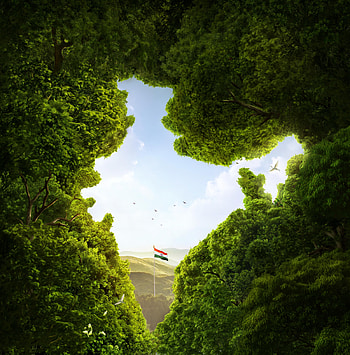 India, Flag of India, Trees, CGI, , Creative, indian nature HD phone wallpaper
