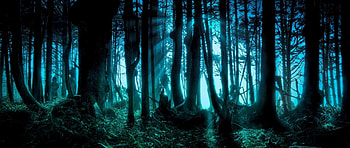 ultra wide 2560x1080 HD wallpaper