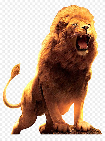 lion Singam HD phone wallpaper