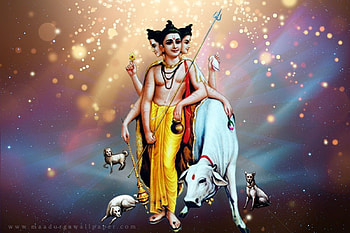 Dattatreya , pics, gurudev datta HD wallpaper