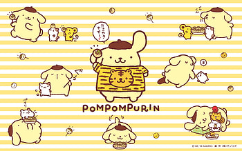 Sanrio Pom Pom Purin and Macaron ·①, pompompurin HD wallpaper