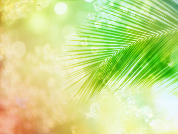 Green Wedding Invitation Backgrounds Designs, summer wedding HD wallpaper
