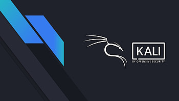 Kali Linux Black HD wallpaper