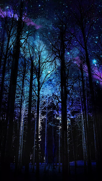 Dark Forest Dark Nature, dark x HD phone wallpaper