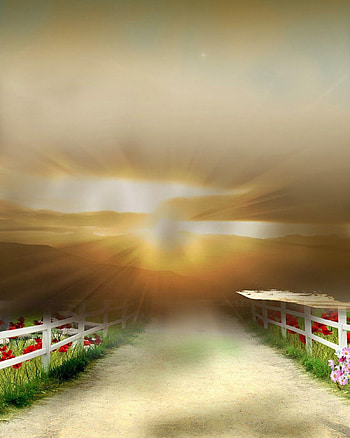 Digital Studio Backgrounds Psd File, plain studio background HD phone wallpaper