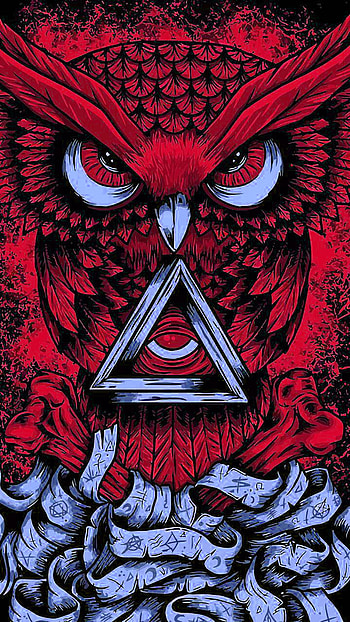 Red Owl – Crazy Skins, mighty owl HD phone wallpaper