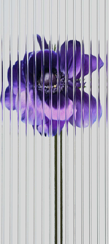 nothing 1 HD phone wallpaper