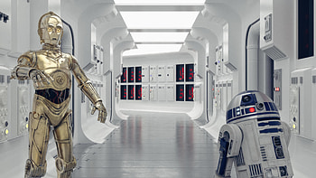 I made a couple Star Wars backgrounds for Zoom/Teams/Meet/WebEx meetings. Help yourself.: StarWars, star wars couples HD wallpaper