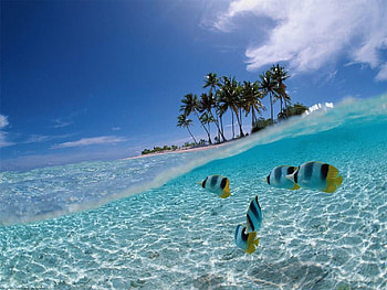 pemandangan laut HD wallpaper