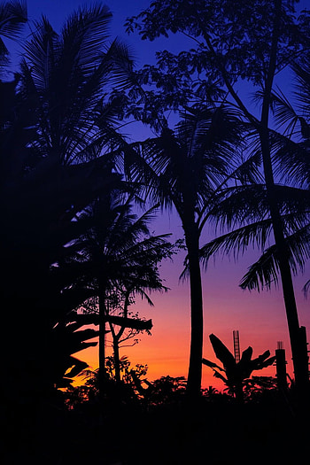 Apple Watch : [50 HQ], watch face HD phone wallpaper