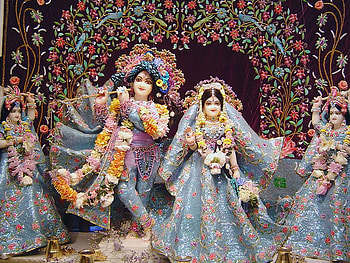 Radha Krishna Banke Bihari HD wallpaper