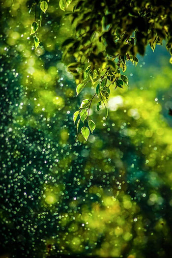 cb backgrounds full in 2020, cb blur HD phone wallpaper