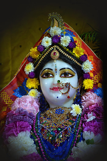 stock of bhakti, deity, Srimati Radharani, radha rani HD phone wallpaper