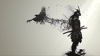 samurai, raven, black HD wallpaper