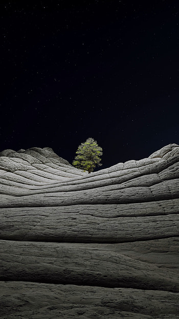 iOS 14.2, Desert, Tree, Night, OS, night HD phone wallpaper