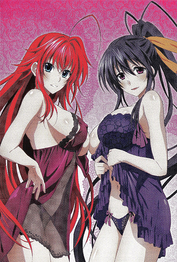 Rias Gremory & Akeno Himejima, android akeno himejima HD phone wallpaper