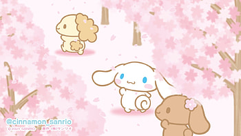 45 about sanrio !!, cinnamonroll computer HD wallpaper