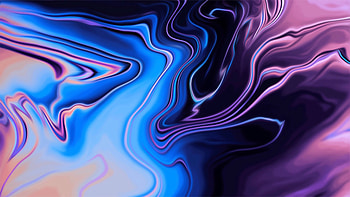 Macbook on Dog, macbook pro m1 HD wallpaper