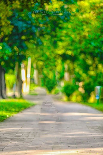 290 Blur backgrounds graphy ideas, dslr blur HD phone wallpaper
