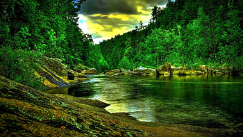 Nature: Amazon 3d Nature Full Screen for 16:9, nature for background full screen HD wallpaper