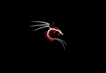 Kali Linux HD wallpaper