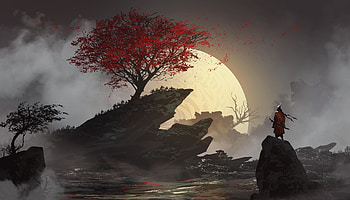 lone samurai sekiro HD wallpaper