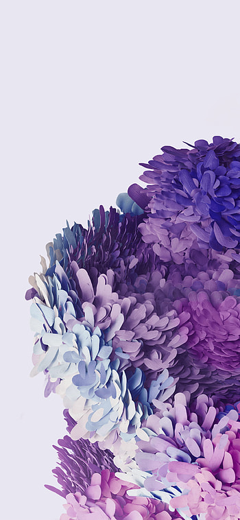 Samsung Galaxy S20 Official Here! Full, samsung galaxy s20 HD phone wallpaper