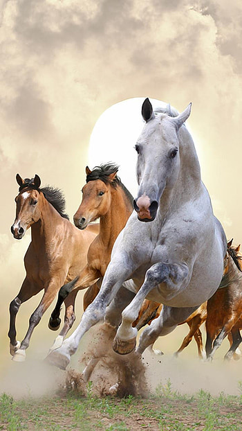 Running Horse For Mobile, & backgrounds, running horse mobile HD phone wallpaper