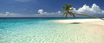 Beach [3440x1440] • /r/, ultra wide summer HD wallpaper