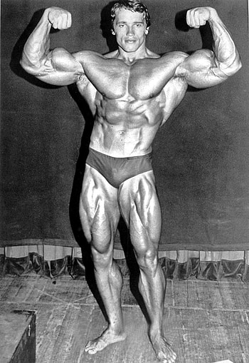 Arnold Schwarzenegger , Celebrity, HQ Arnold, arnold bodybuilding HD phone wallpaper
