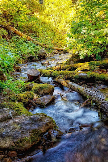 Of Nature For Mobile Pics s, beautiful of nature for mobile HD phone wallpaper