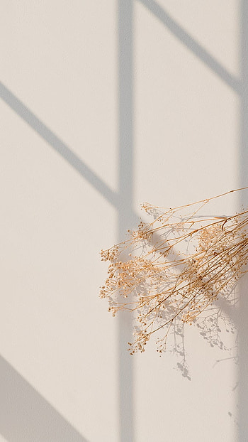 Aesthetic , minimal beige, aesthetic beige HD phone wallpaper