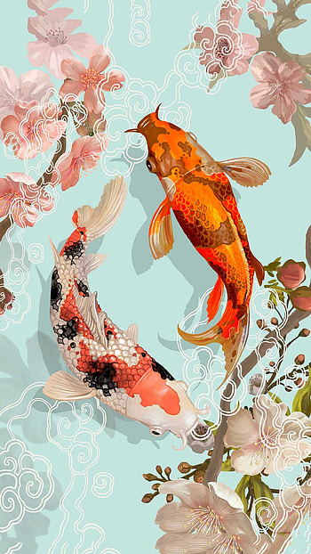 Koi Fish, koi carp HD phone wallpaper