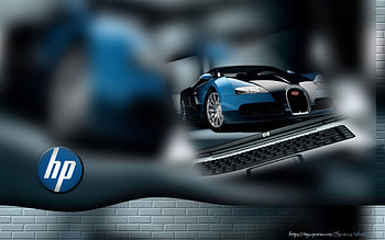 5 Live for Hp Laptop, hp windows 10 HD wallpaper