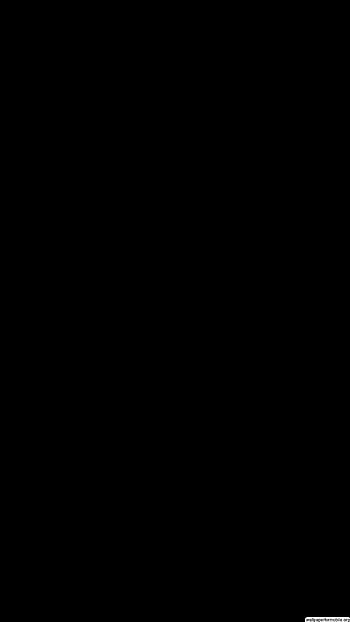 Black Screen on Dog, black page HD phone wallpaper