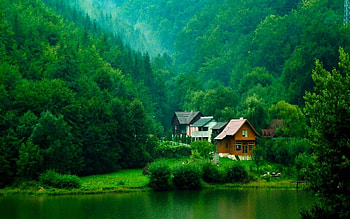 Green Nature Landscape 1920x1200 56709, natural landscape HD wallpaper
