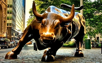 Data, stock market bull HD wallpaper