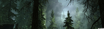 Forest Fog, 5120x1440 dark winter HD wallpaper