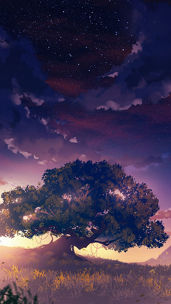 genshin impact mobile HD phone wallpaper
