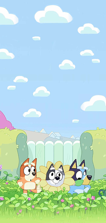 bingo from bluey HD phone wallpaper