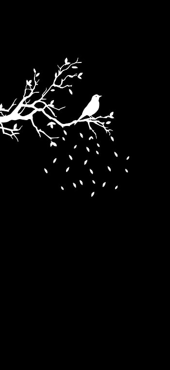black amoled, dark amoled minimalistic HD phone wallpaper