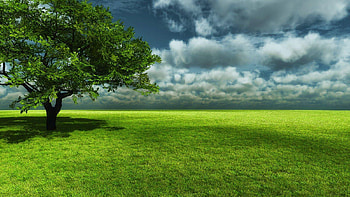 pemandangan indah HD wallpaper