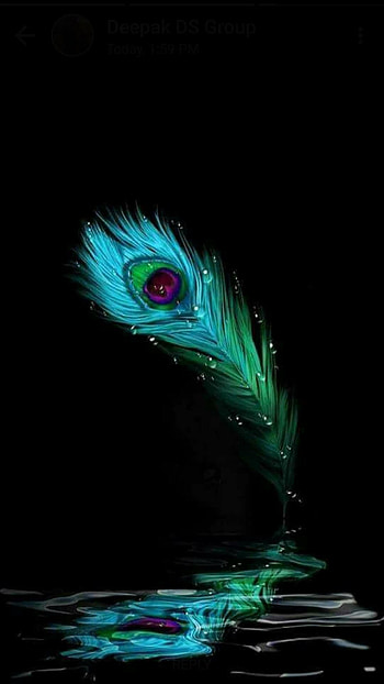 Peacock Feather ! in 2019, krishna flute HD phone wallpaper