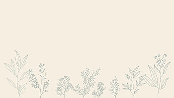 Lock screen Plant Minimalist, aesthetic minimalist plant HD wallpaper
