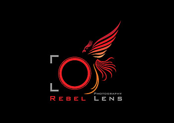 graphy Logo Design Camera Logo Png, grapher logo HD wallpaper