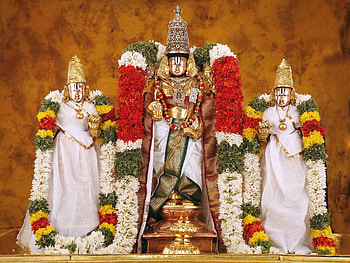 Sri Tirupati Balaji, , for, sri venkateswara swamy vaari temple HD wallpaper