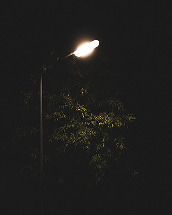 75 Street Light [HQ], streetlight HD phone wallpaper