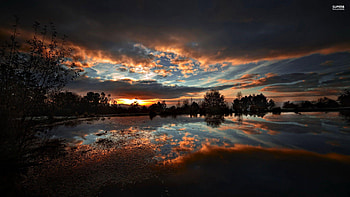 2560x1440 Nature HD wallpaper