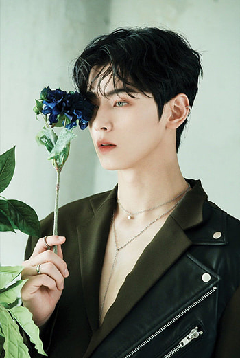 Cha Eun Woo 차은우 Daily on in 2020, cha eun woo aesthetic HD phone wallpaper