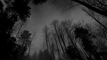 Dark Aesthetic Laptop Black HD wallpaper